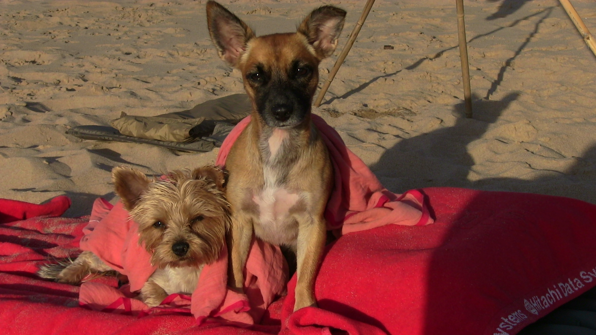 Abi y Bety